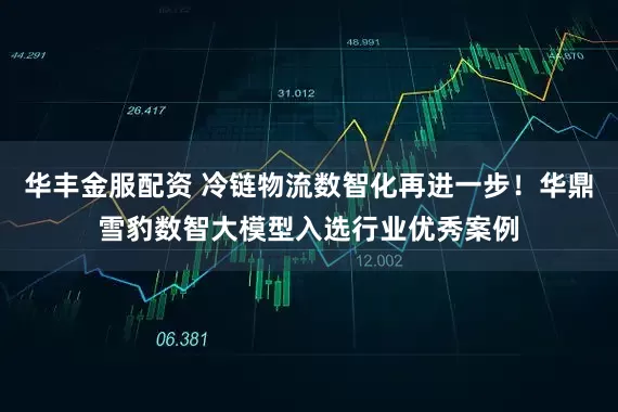 华丰金服配资 冷链物流数智化再进一步！华鼎雪豹数智大模型入选行业优秀案例